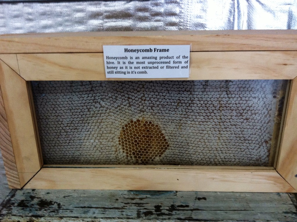 Honeycomb Cross Section